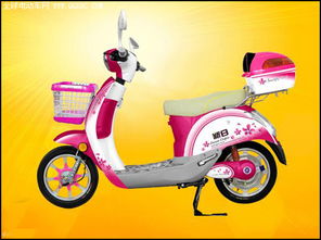 新日电动车的营销逻辑 驱动电动自行车销售的增长引擎