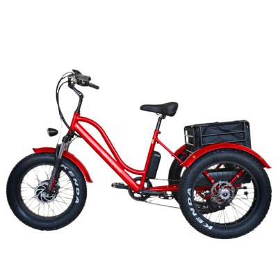 广东深圳雪地三轮电动车 20寸出口变速助力车厂家直销价格解析