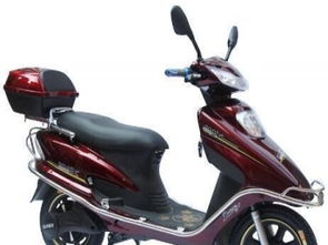 电动车大特价 低价甩卖全新与二手，工厂直销批发零售可分期